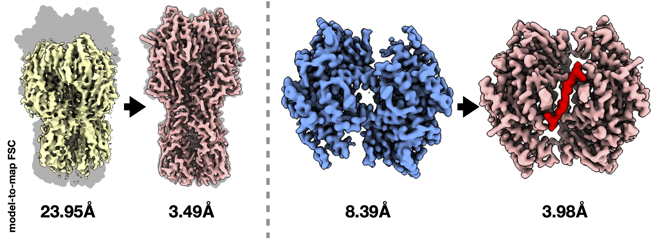 CryoPROS overview: AI-generated auxiliary particle workflow and orientation correction results
